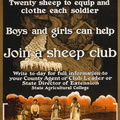Sheep_club2.jpg