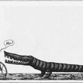 Ho-an-alligator