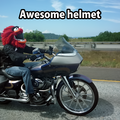 animal-helmet