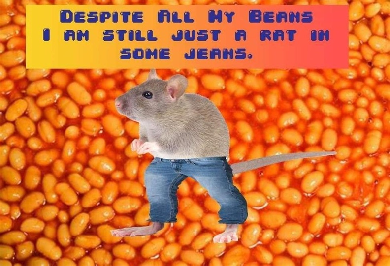 despite-all-my-beans