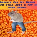 despite-all-my-beans