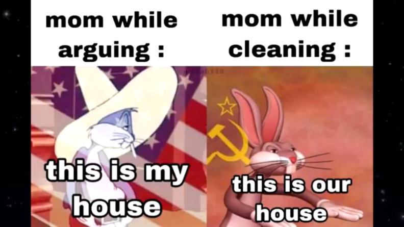 mom-while-cleaning.png