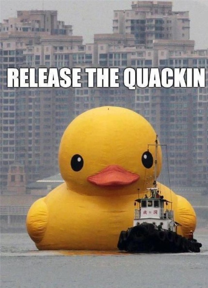release-the-quackin.jpeg