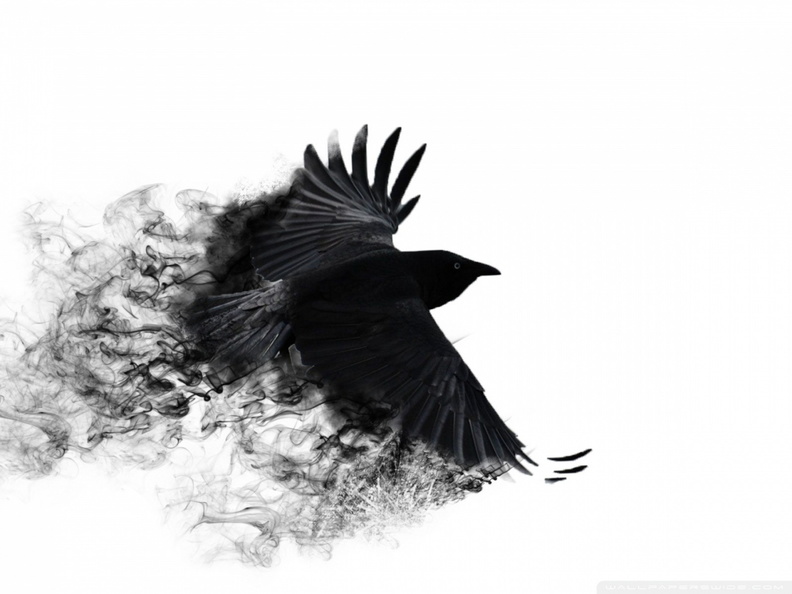 crow_wings_bird_swing.jpg