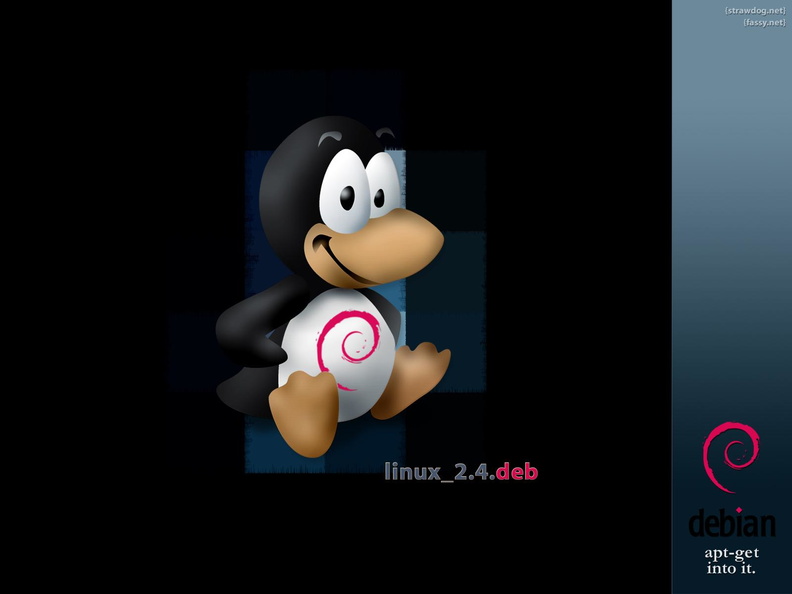 Linux_2.4_-_apt-get_install_linux24.jpg