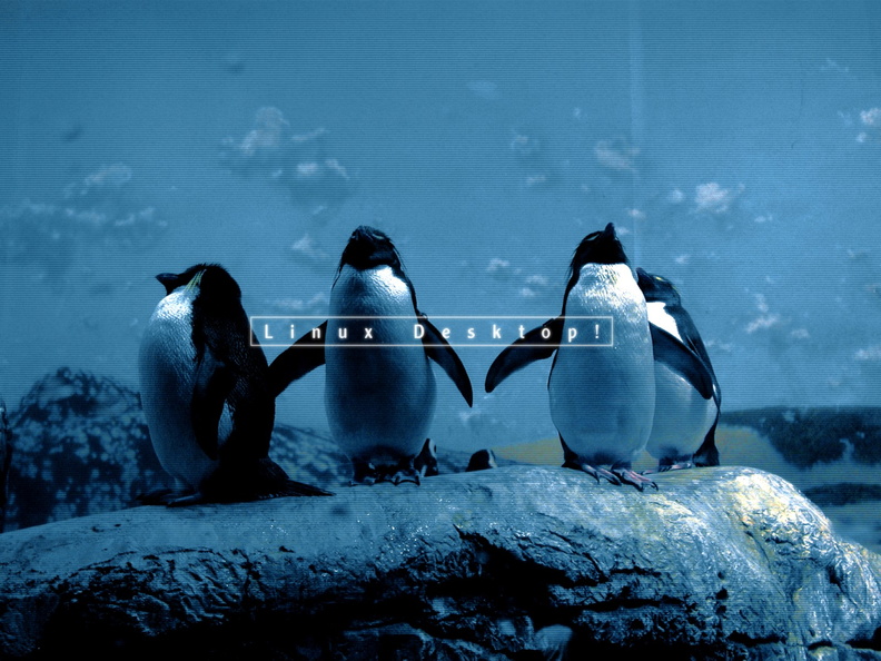 Penguin_Gang.jpg