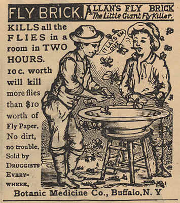 allans_fly_brick-1878.jpg