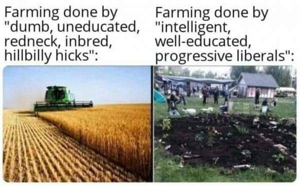 farming.jpg